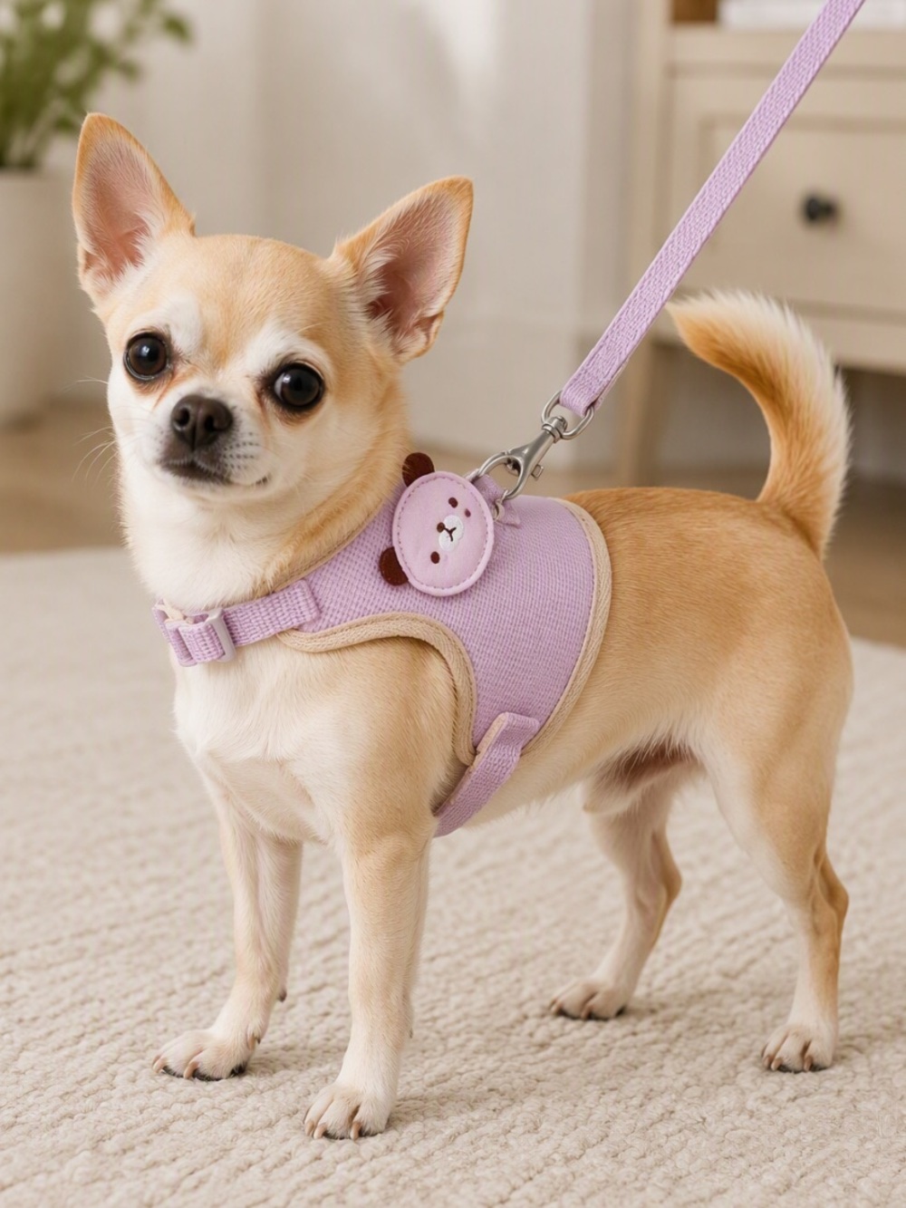 Pet Harness size small